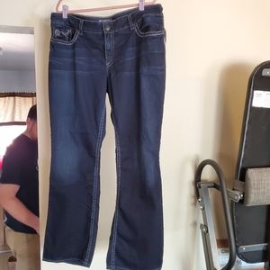 EUC Plus Size Silver Suki Jeans 20/32